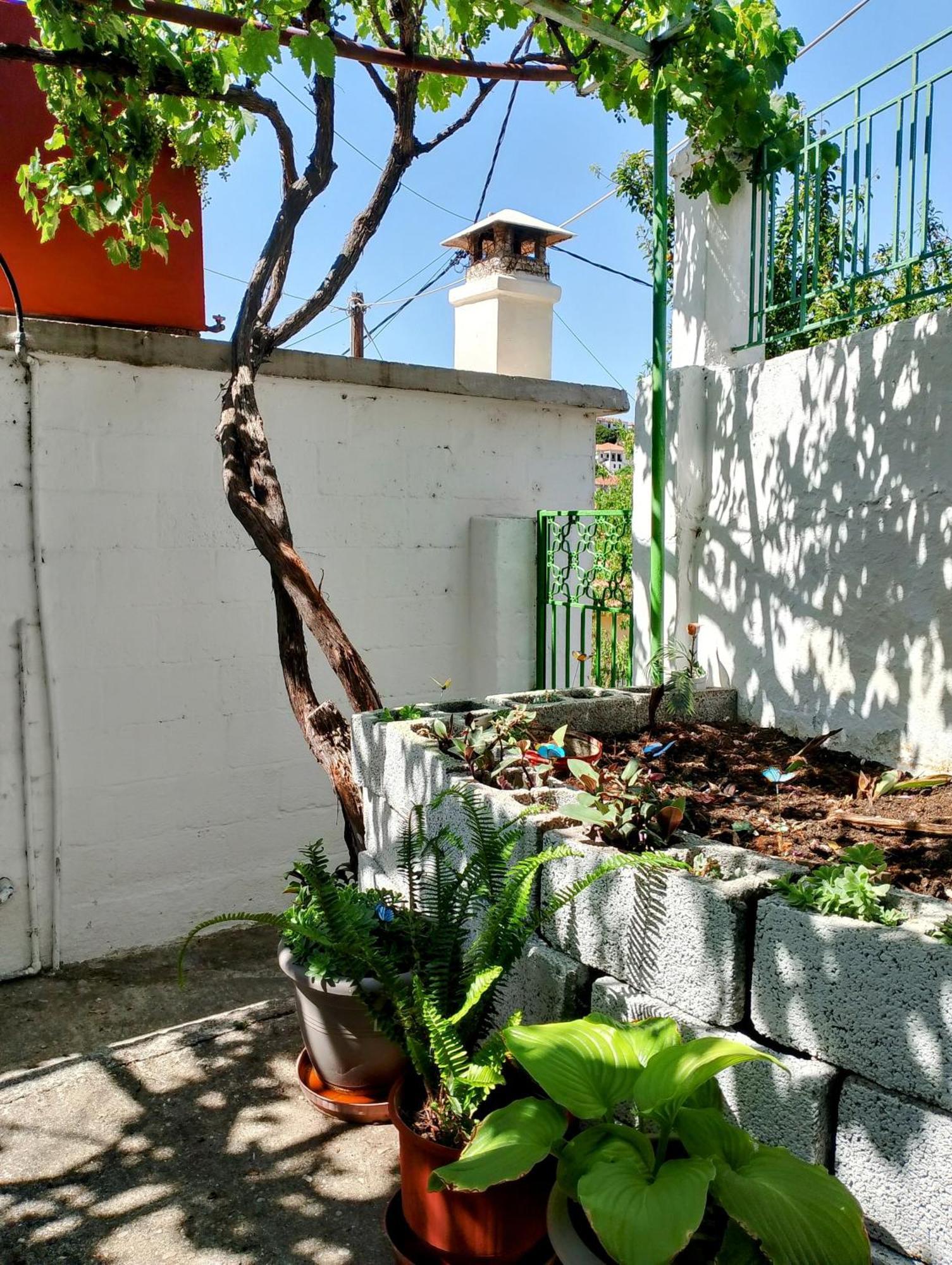 Trikeri Traditional Cozy House Екстериор снимка